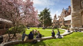 yale office 365|Services .